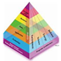 ENTERPRISE ARCHITECTURE